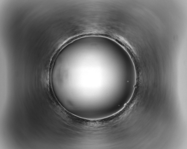 X0000096711220200802051414