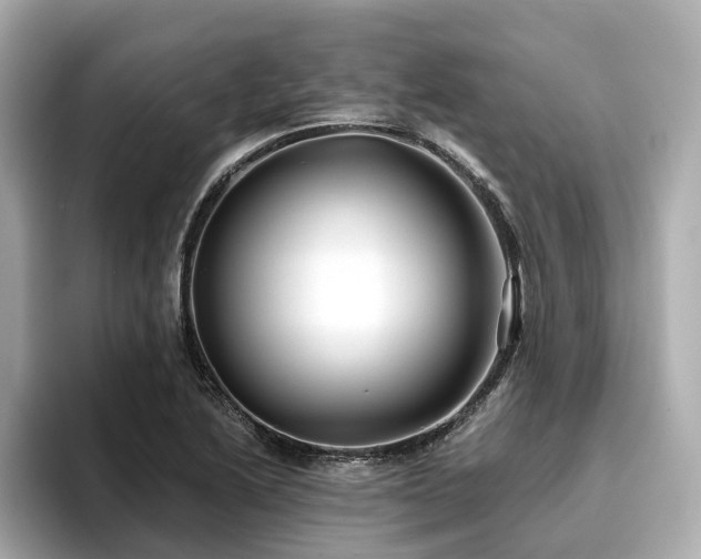 X0000096711222200802051414