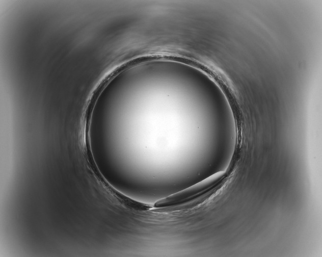 X0000096711224200802051414