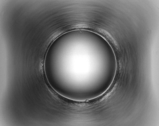 X0000096711225200802051414