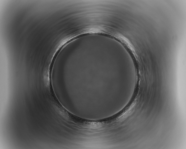 X0000096711226200802051414