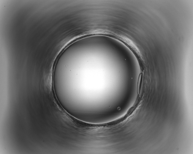 X0000096711228200802051414