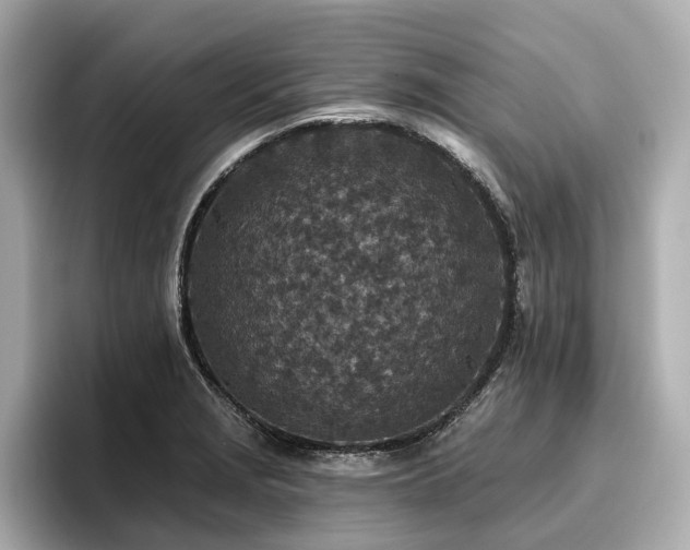 X0000096711229200802051414