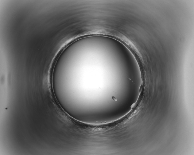 X0000096711230200802051414