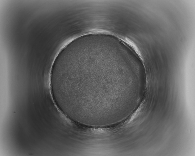 X0000096711231200802051414