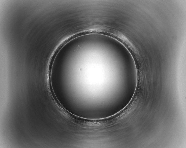 X0000096711232200802051414