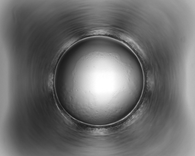 X0000096711233200802051414