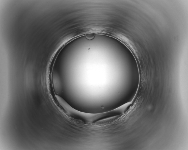 X0000096711235200802051414