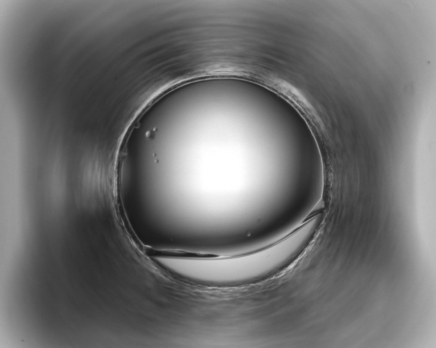 X0000096711236200802051414