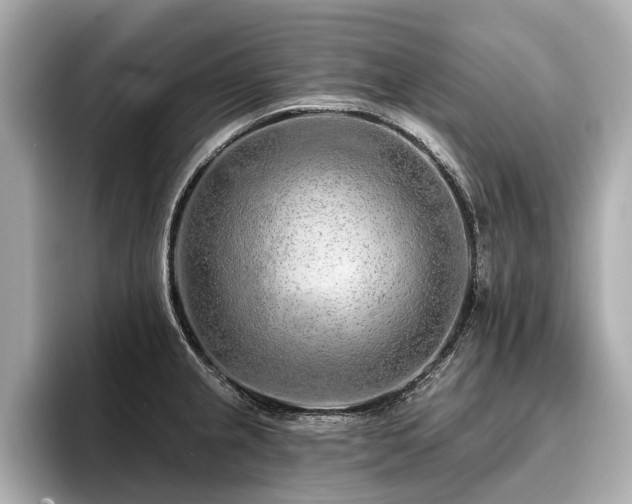 X0000096711237200802051414