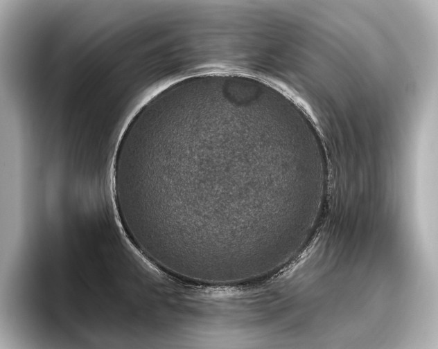 X0000096711239200802051414