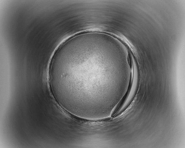 X0000096711240200802051414