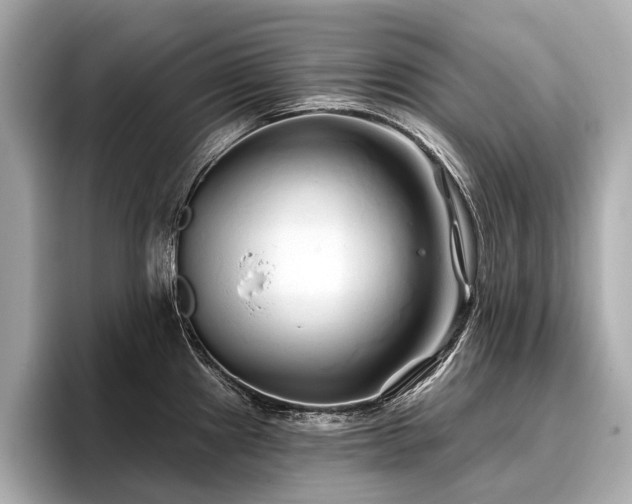 X0000096711241200802051414