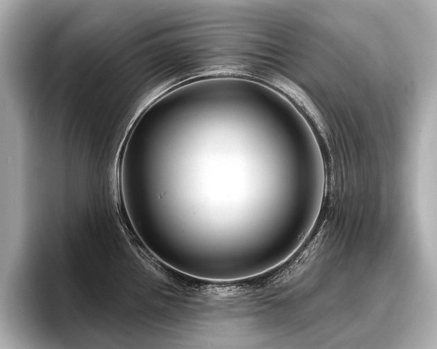 X0000096711242200802051414