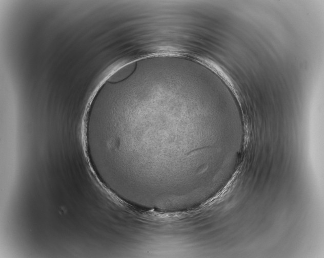 X0000096711243200802051414