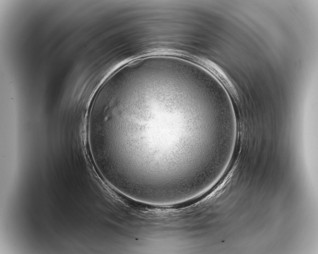 X0000096711244200802051414