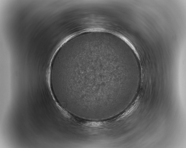 X0000096711245200802051414