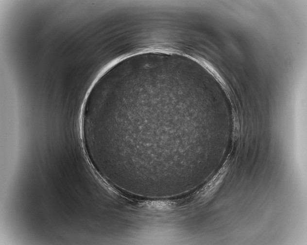 X0000096711246200802051414