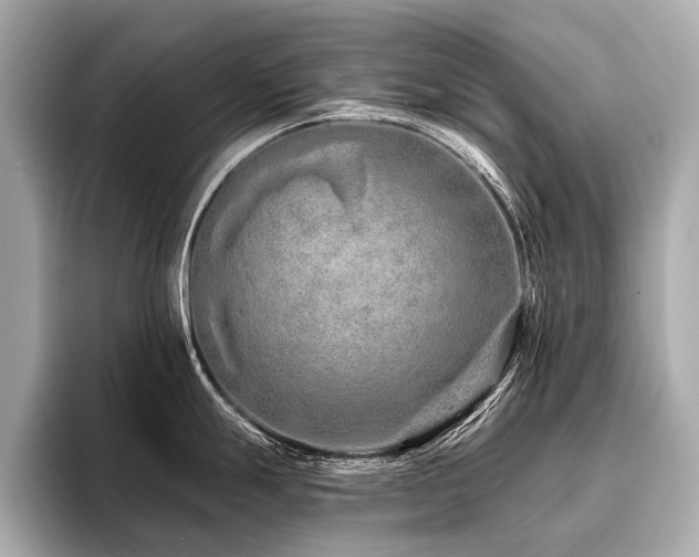 X0000096711247200802051414