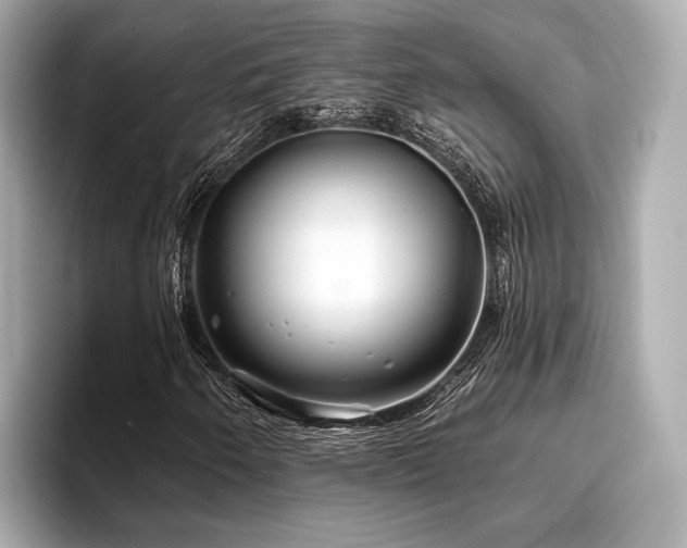 X0000096711250200802051414