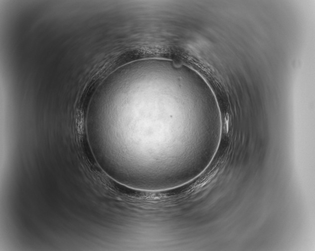 X0000096711251200802051414