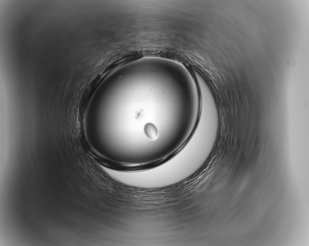 X0000096711252200802051414