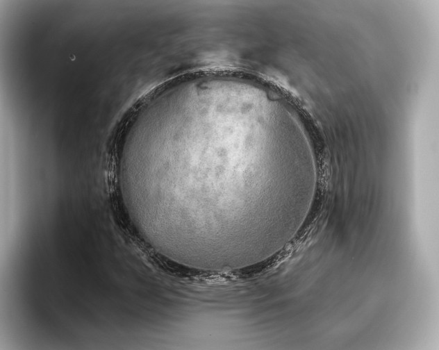 X0000096711255200802051414