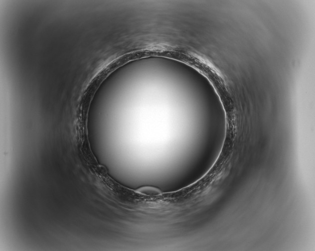 X0000096711256200802051414