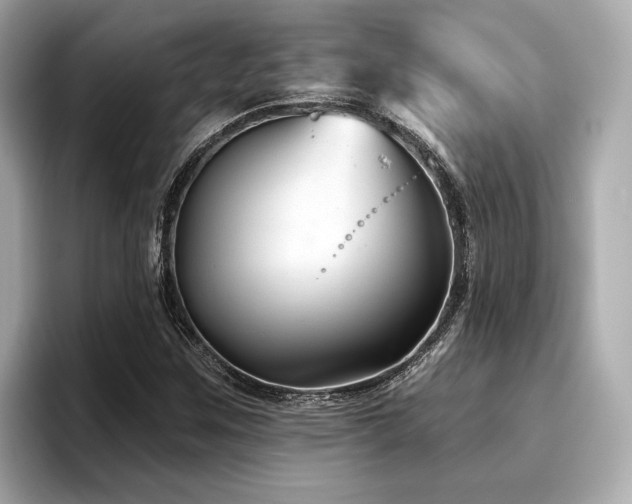 X0000096711259200802051413