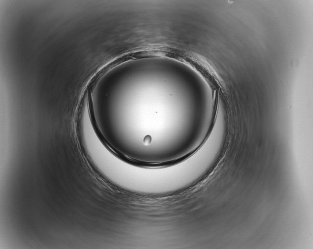 X0000096711260200802051413