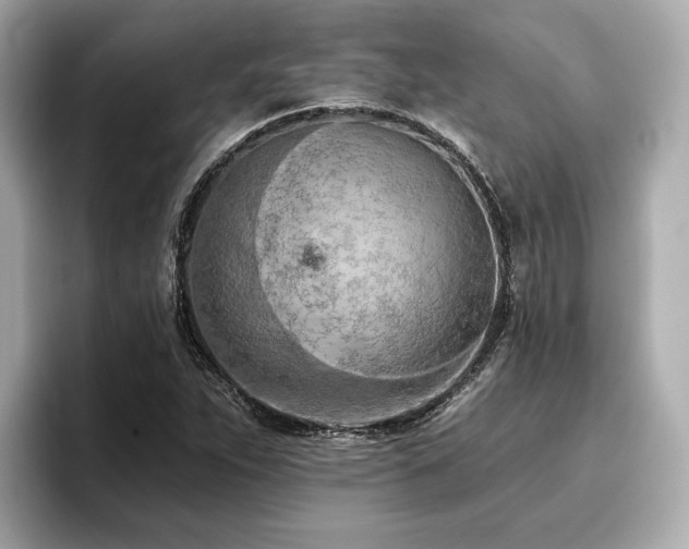 X0000096711263200802051413