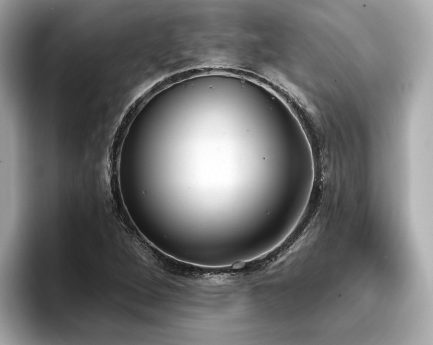 X0000096711264200802051413