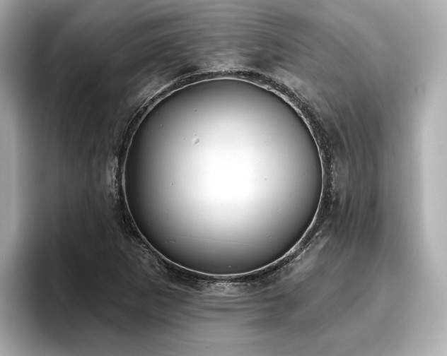 X0000096711265200802051413