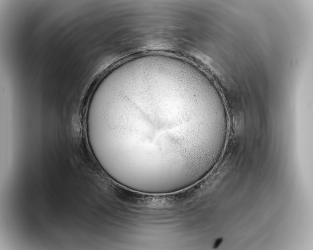 X0000096711266200802051413