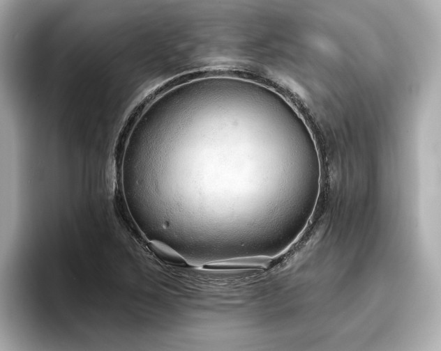 X0000096711267200802051413