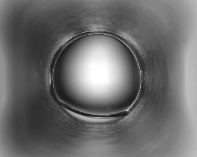 X0000096711269200802051413