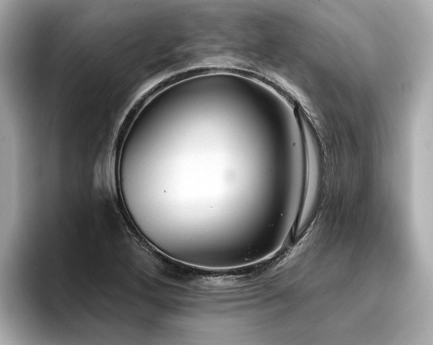 X0000096711272200802051413