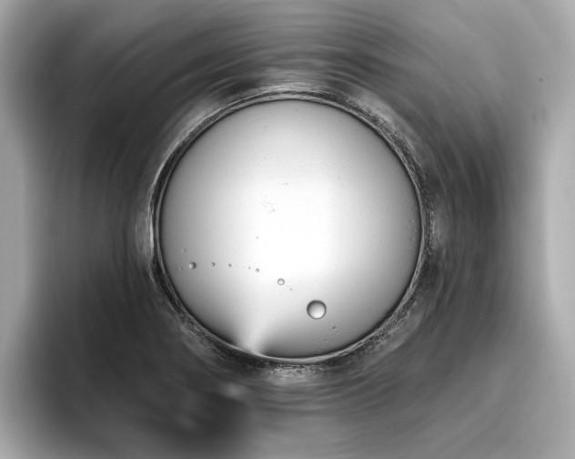 X0000096711274200802051413