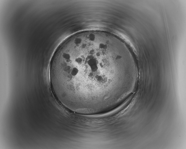 X0000096711275200802051413