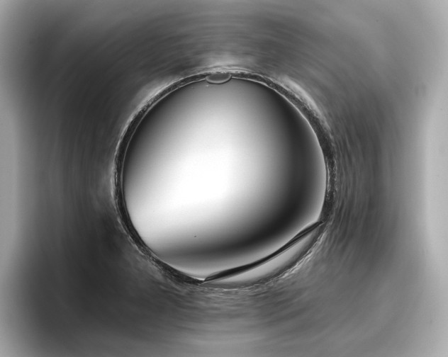 X0000096711277200802051413