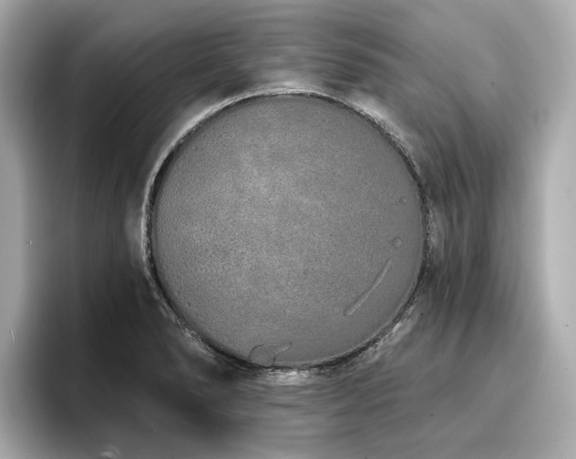 X0000096711278200802051413