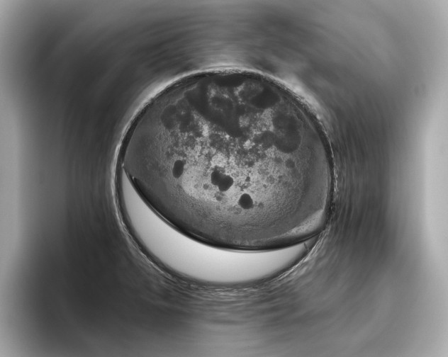 X0000096711279200802051413