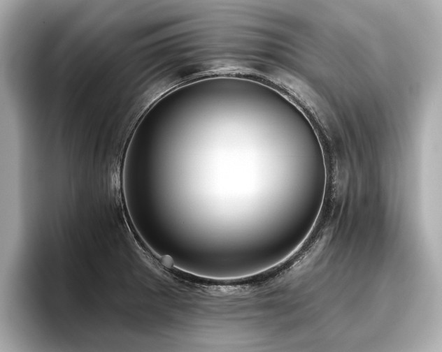 X0000096711281200802051413