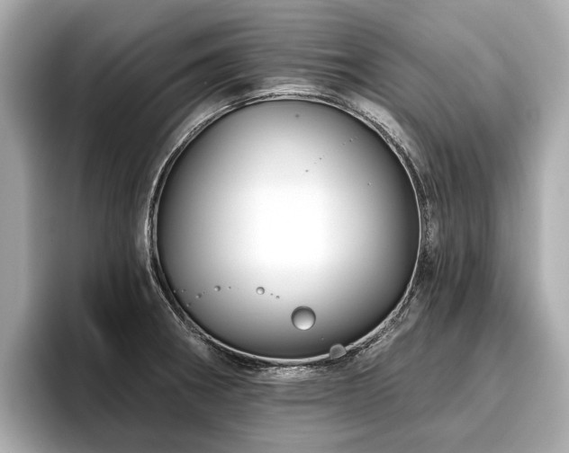 X0000096711282200802051413