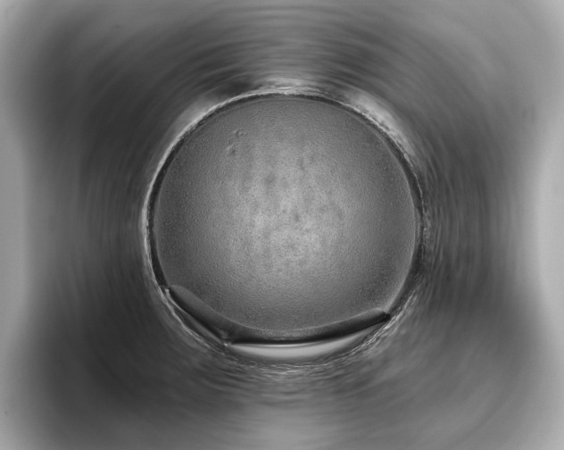 X0000096711283200802051413