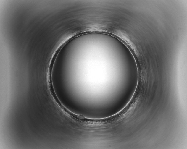 X0000096711285200802051413