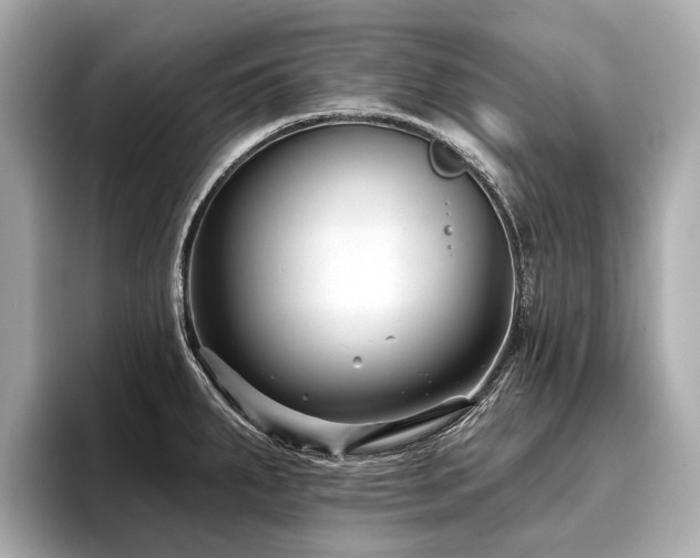 X0000096711287200802051413