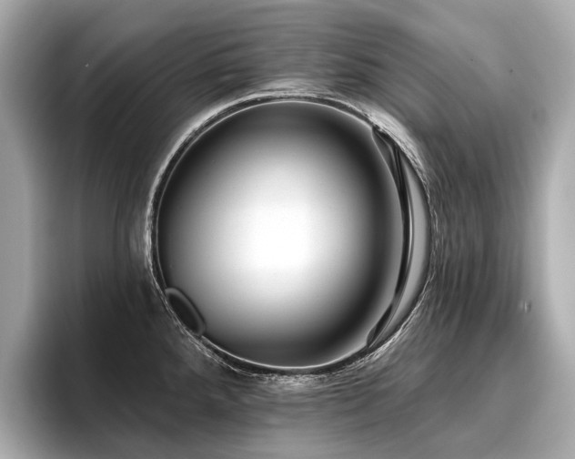 X0000096711288200802051413