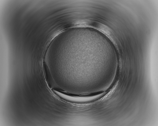 X0000096711289200802051413