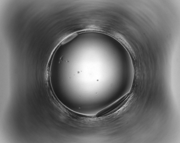 X0000096711292200802051413